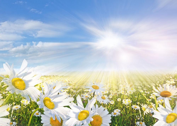 椰读 | 十年后的你,会不会感谢今天的自己?