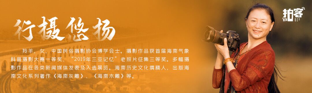 海口市民献血抗“疫” 为爱逆行