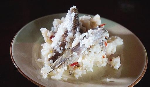 茶鱼茶鱼是什么鱼