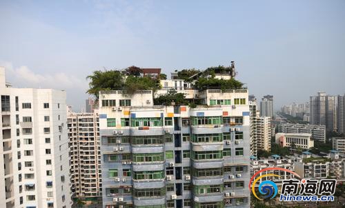 海口金银广场小区楼顶现"空中花园" 城管:属违建