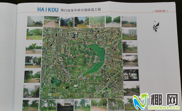 海口金牛岭公园未公示就围挡施工引质疑 相关负责人回应