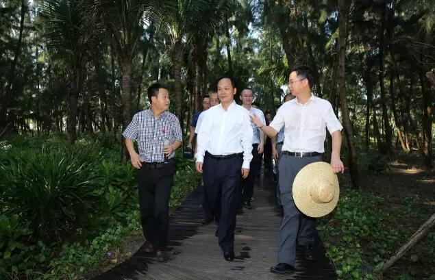 三亚市委书记严朝君到海棠区调研: 绝不以牺牲生态为代价搞建设