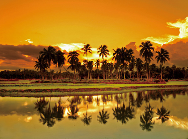 乡音海南|你去过三亚的椰子洲岛吗?这片椰风海韵等你探寻