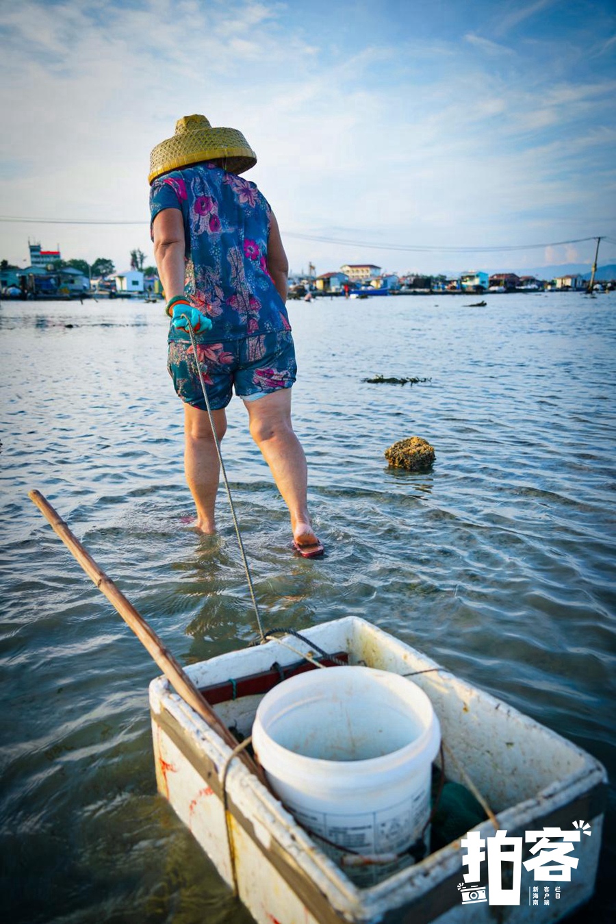 南海网客户端拍客专栏摄影师 杨海成 摄游客乘坐渔船游览疍家港湾