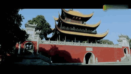 440_249gif 动态图 动图