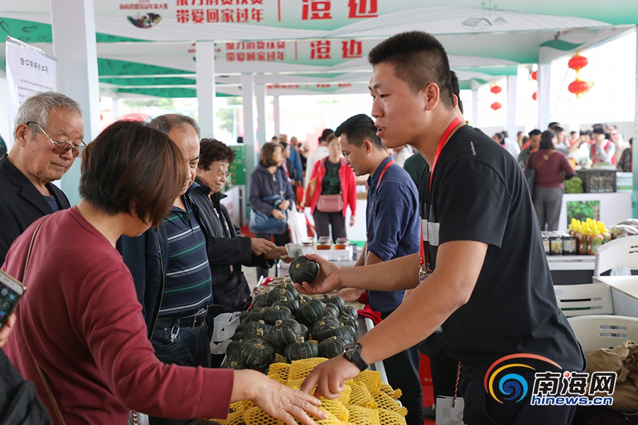 超热闹!澄迈农产品销售火爆 白莲鹅,澄迈凤梨等售罄补货