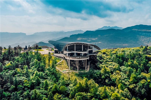 "三大坨"改种"仙女红" 重庆武隆白马镇村民靠采茶摘掉贫帽