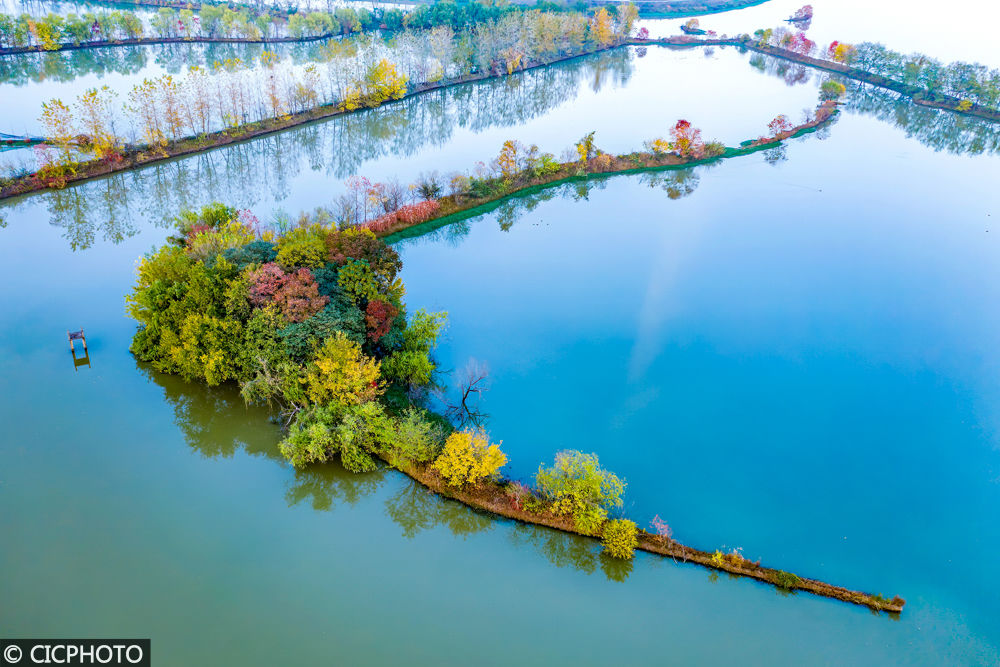 初冬美景入画来- 南海网客户端